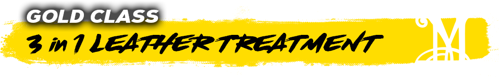 3in1LeatherTreatment_Header